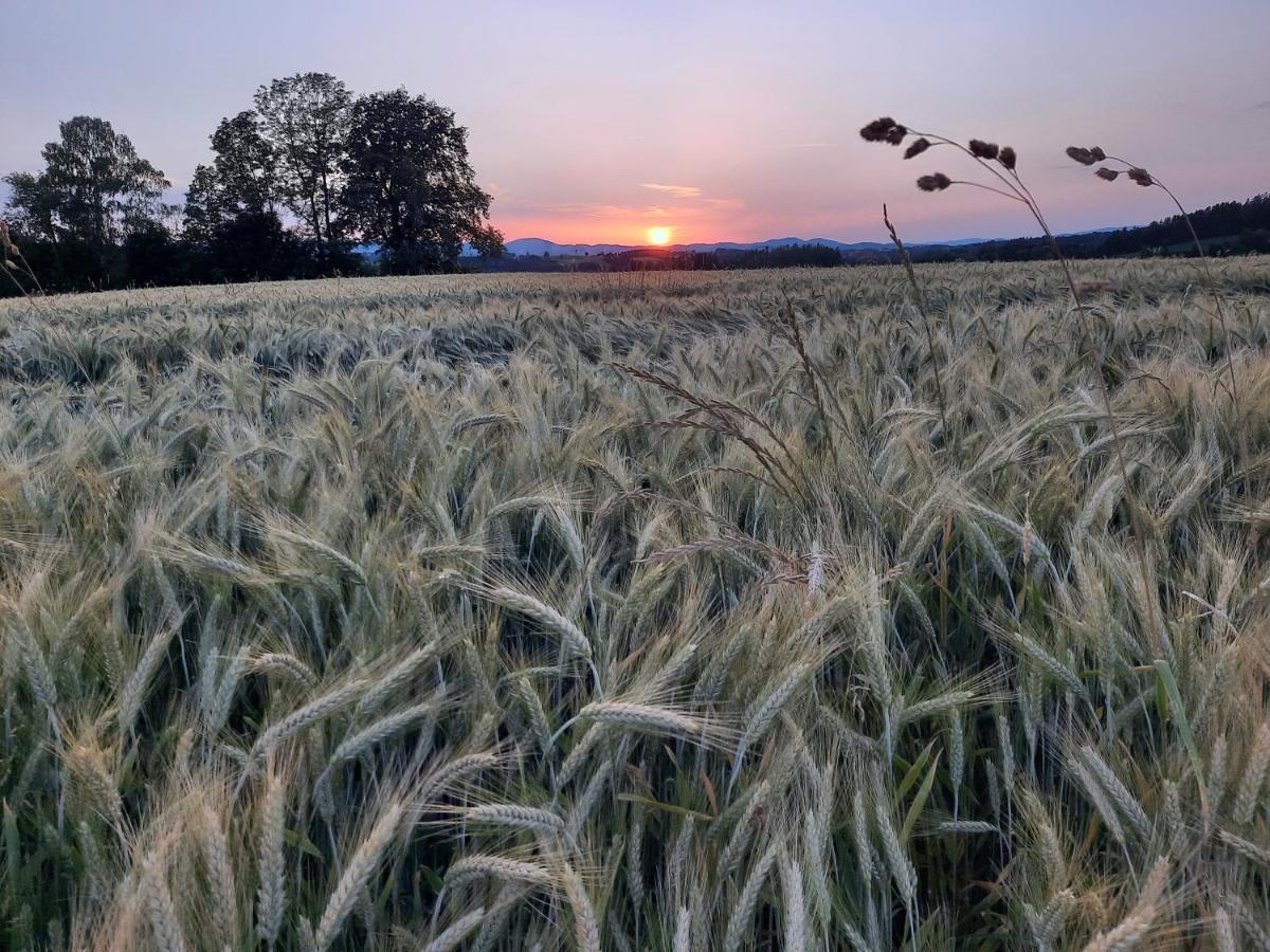 Grainmeisterhof Niederwaldkirchen Esterno foto