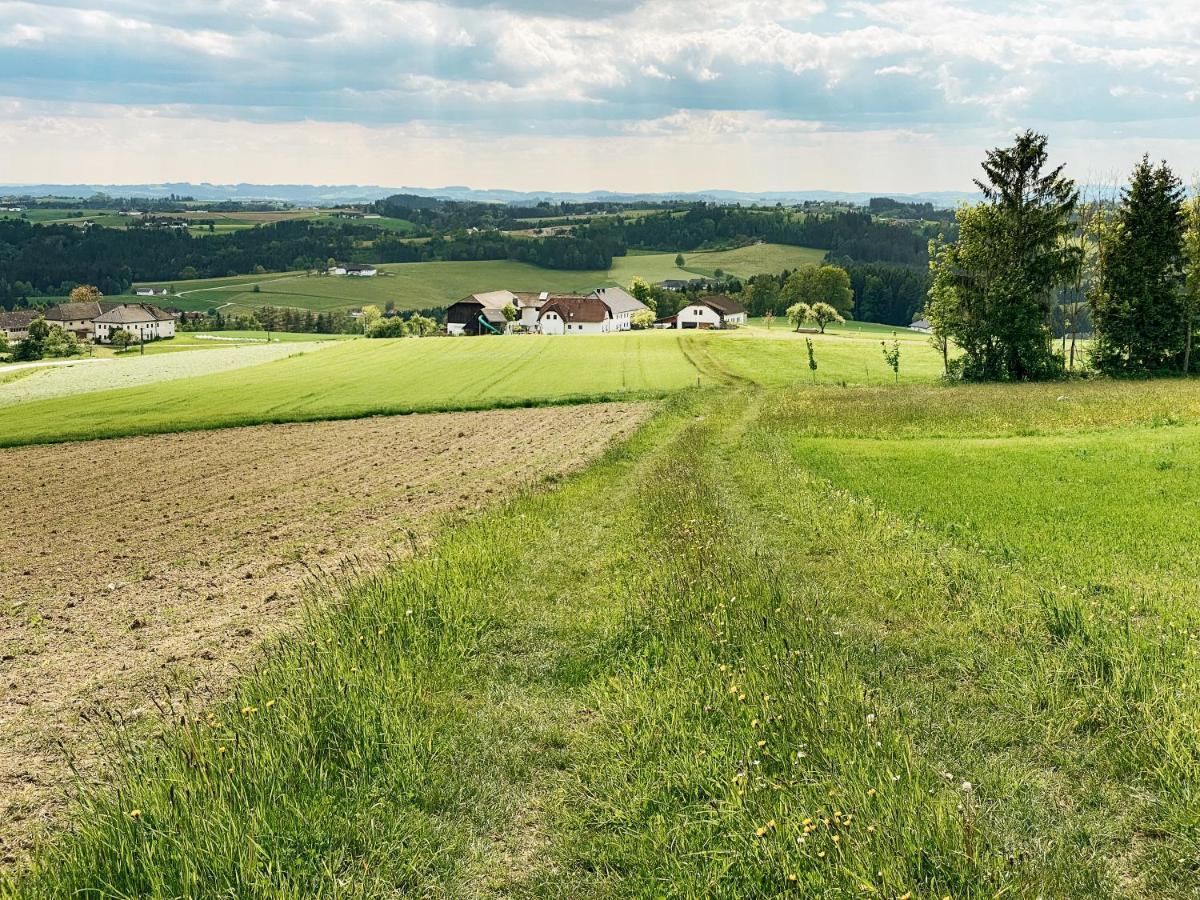 Grainmeisterhof Niederwaldkirchen Esterno foto