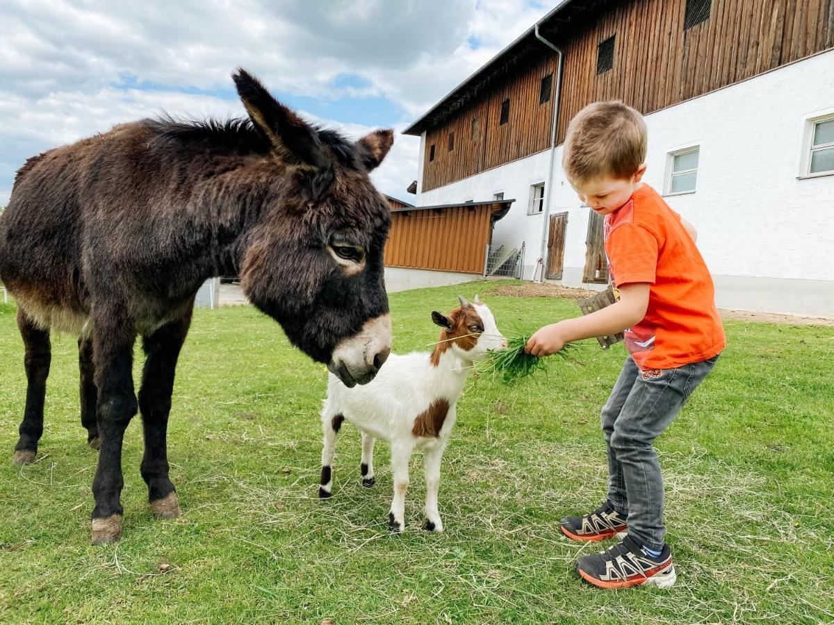 Grainmeisterhof Niederwaldkirchen Esterno foto