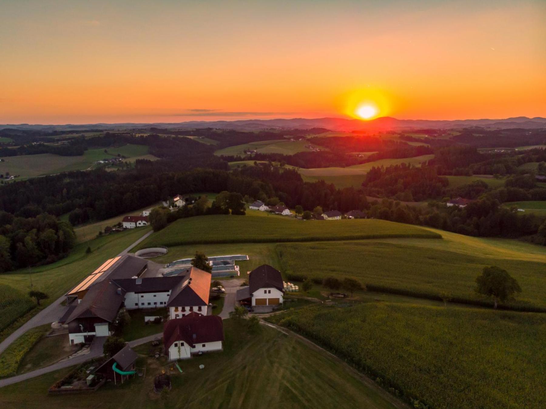 Grainmeisterhof Niederwaldkirchen Esterno foto