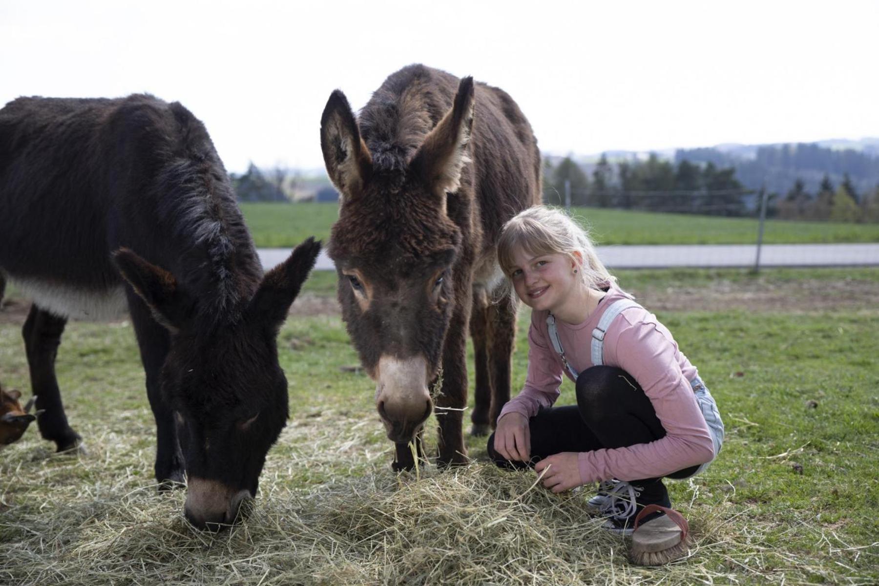 Grainmeisterhof Niederwaldkirchen Esterno foto